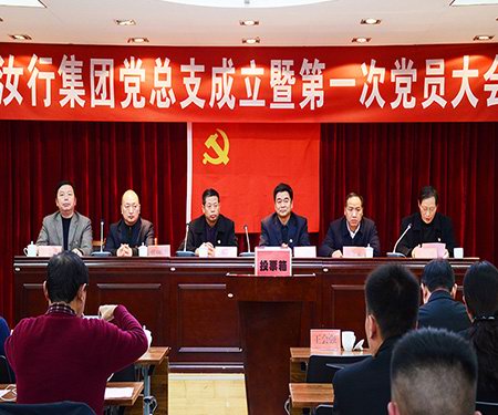 辞旧迎新之际 汝行党委成立